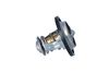 Termostat, chladivo 725140
