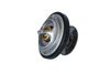 Termostat, chladivo 725216