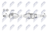 npw-ns-223_9-wm.PNG