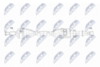 NPW-RE-215_9-WM.PNG