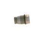 Bosch Pressure Relief Valve, common rail system 1 110 010 017