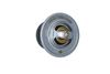 Termostat, chladivo 725214
