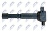 ECZ-HD-025_4-WM.JPG
