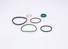 Bosch Gasket Set, hydraulic pump 3 073 698 208