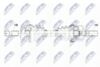NPW-CT-093_9-WM.PNG