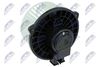 EWN-MS-005_2-WM.JPG