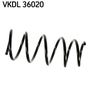 VKDL 36020.JPG