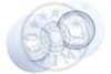 OPT_BS-9584HC_WM_01.JPG