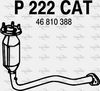 P222CAT.JPG