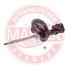 313550-PCS-MS.JPG