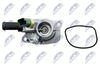 CTM-FT-009_4-WM.JPG