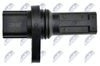 ECP-MS-002_3-WM.JPG