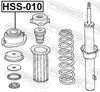 HSS-010_1.JPG