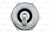 VALEO_SPARK_PLUG_246890_03.JPG