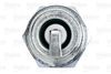 VALEO_SPARK_PLUG_246883_03.JPG