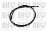 QH_BC3909.JPG