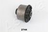GOM-2744_1.JPG