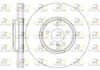 61333-10-MODEL.BMP