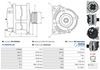 A01239(SEG)_256960.JPG