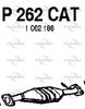 P262CAT.JPG
