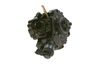Bosch High Pressure Fuel Pump 0445010314