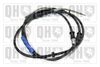 QH_BC2147.JPG