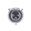 Bosch Bulb, front fog light 1 987 301 054