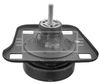 BEM4036_210822.JPG