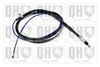 QH_BC4128.JPG