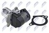 EGR-ME-029_2-WM.JPG