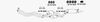 OPEL766A.BMP