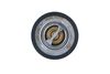 205_725126.ZIP