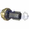 Датчик, температура теплоносія DELPHI TS10458