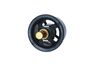 Termostat, chladivo 725029