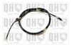 QH_BC2817.JPG