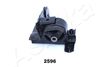 GOM-2596_3.JPG