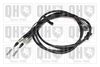QH_BC3840.JPG