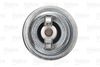 VALEO_SPARK_PLUG_246850_03.JPG
