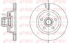 REM61704-10-MODEL.BMP