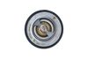 205_725131.ZIP
