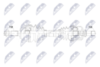 npw-ct-178_9-wm.PNG