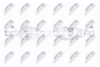 NPW-RE-218_9-WM.PNG