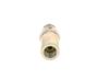 Bosch Pressure Relief Valve, common rail system F 00R 001 048