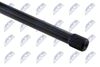 ZWT-CT-010_2-WM.JPG