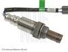 ADT37069_2.JPG