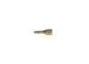 Genuine Bosch Injector Nozzle 0433171929 DLLA152P1507