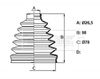 BCB6389_832268.JPG