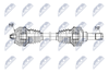 NPW-BM-229_9-WM.PNG