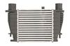 Интеркулер THERMOTEC DA1003TT