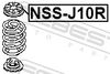NSS-J10R_1.JPG